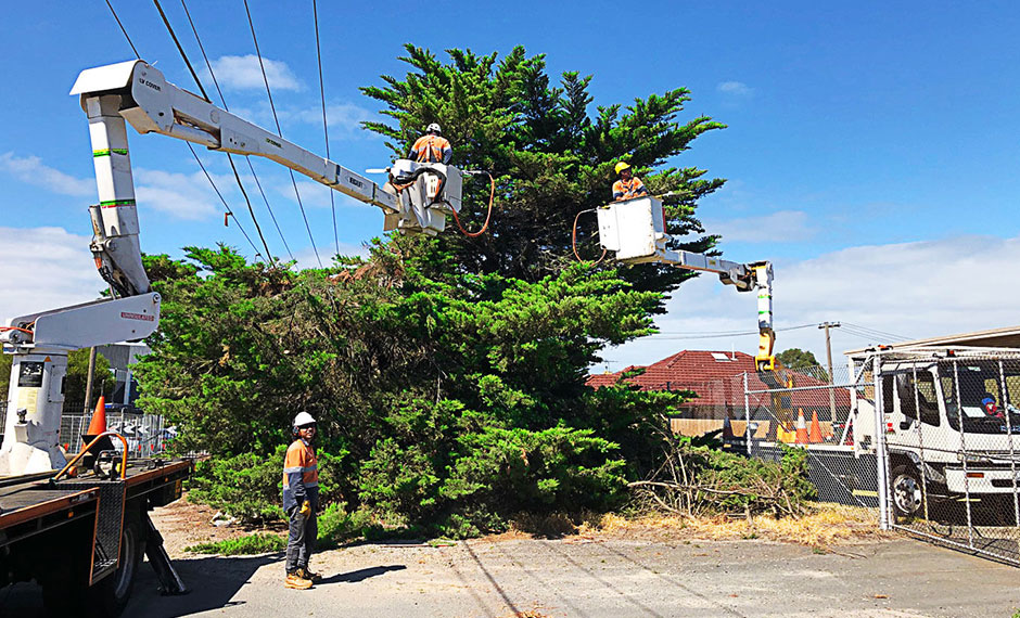 Envirotree Management Envirotree Management