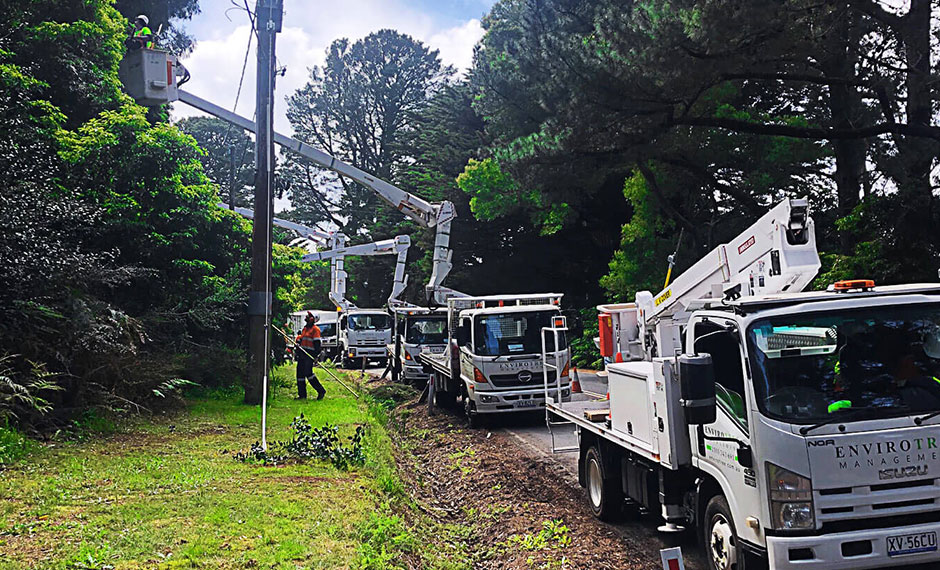 Envirotree Management Envirotree Management