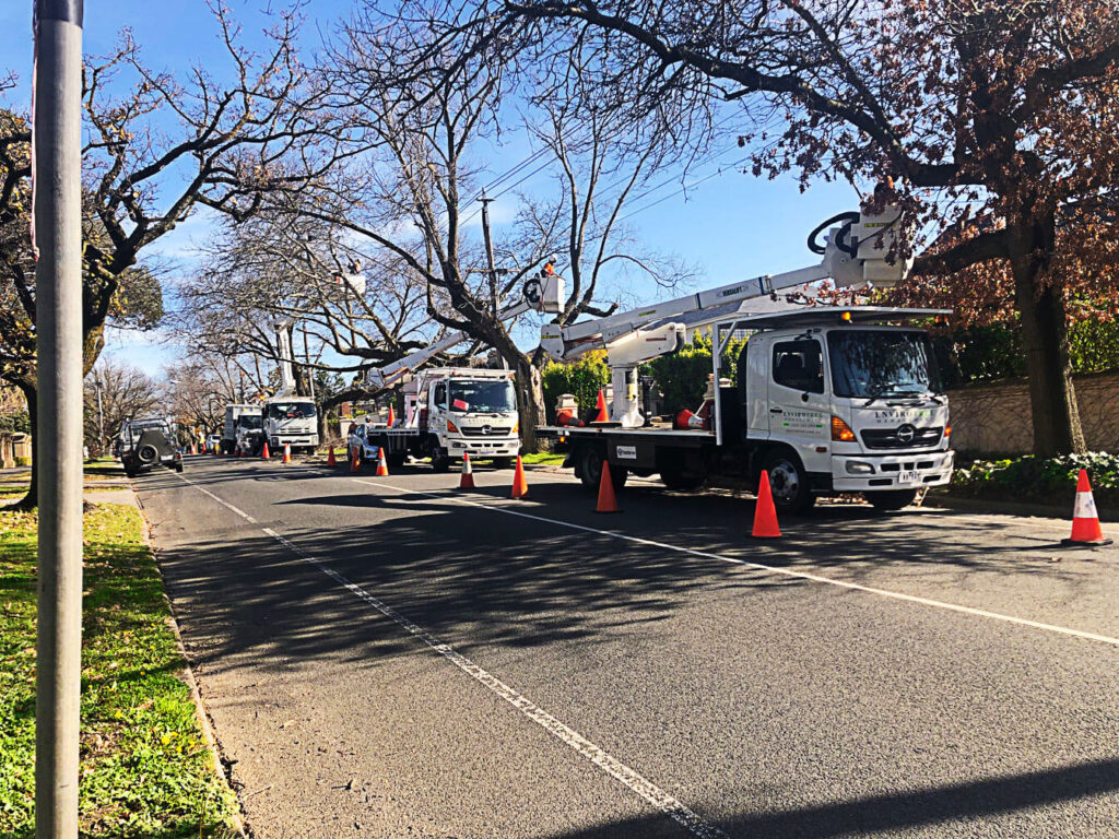 Envirotree Management Envirotree Management