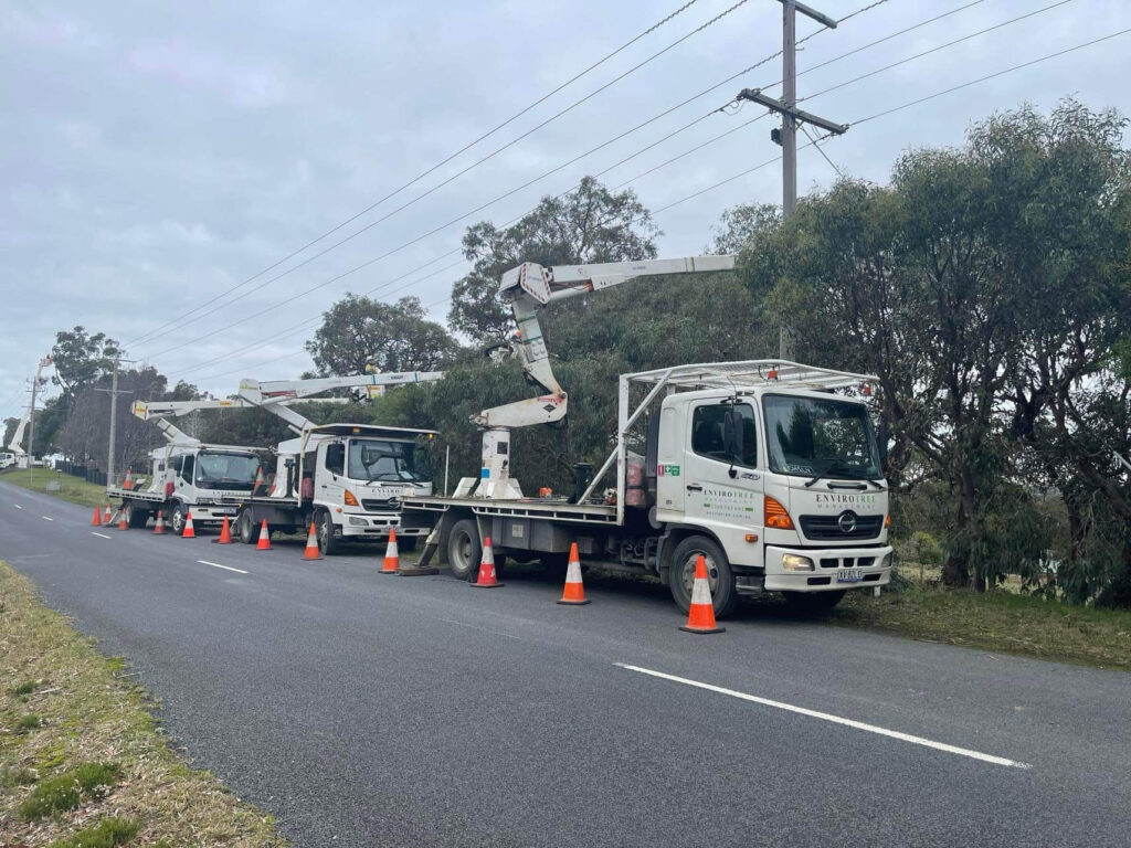 Envirotree Management Envirotree Management