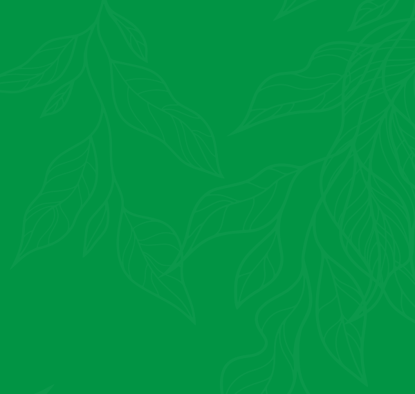 Envirotree Management Envirotree Management