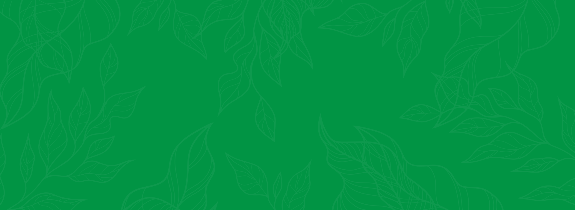 Envirotree Management Envirotree Management